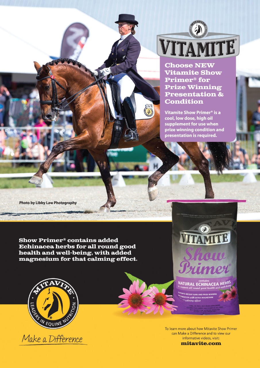 HorseWyse Magazine Preview Pages