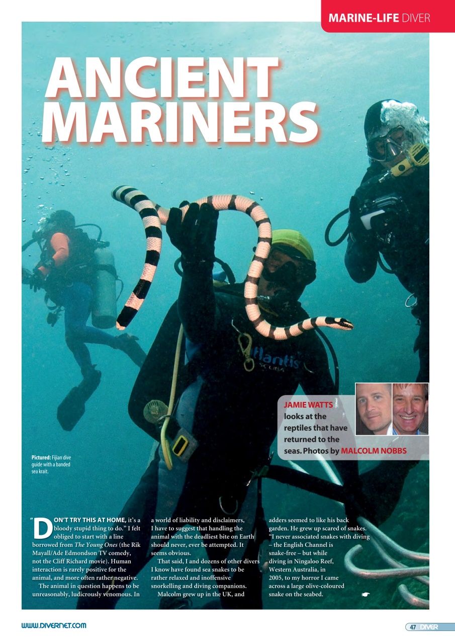 DIVER Preview Pages