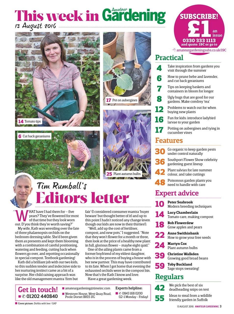 Amateur Gardening Preview Pages