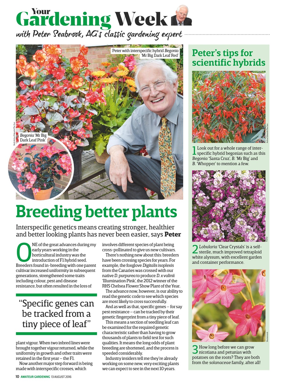 Amateur Gardening Preview Pages