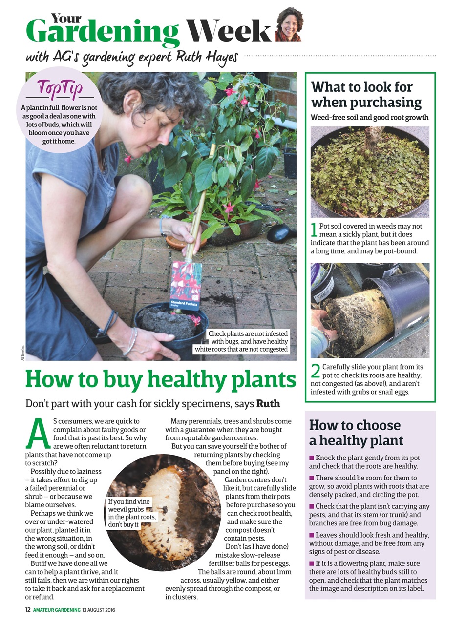 Amateur Gardening Preview Pages