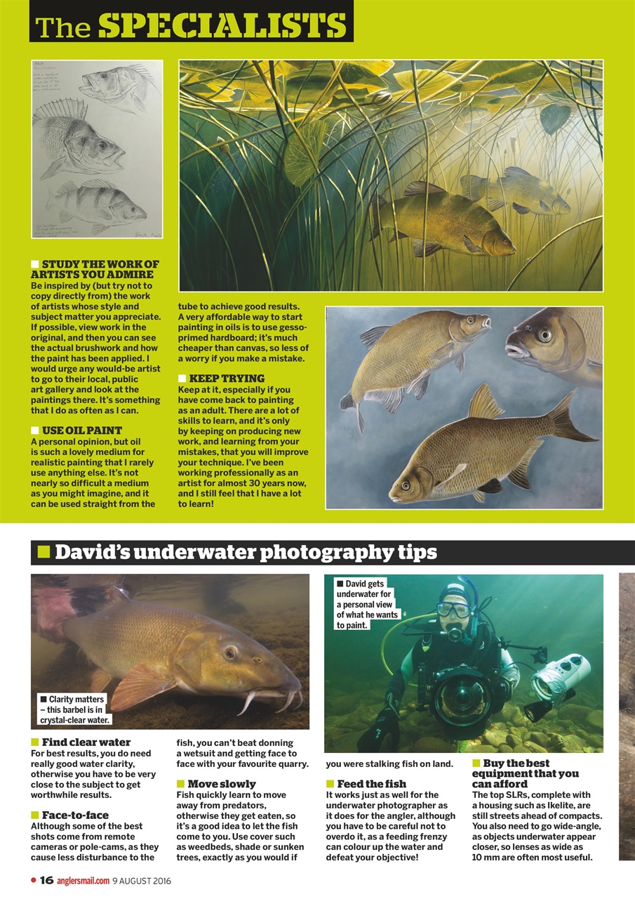 Anglers Mail Preview Pages