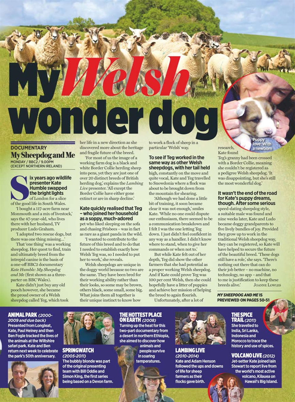 TV Times Preview Pages