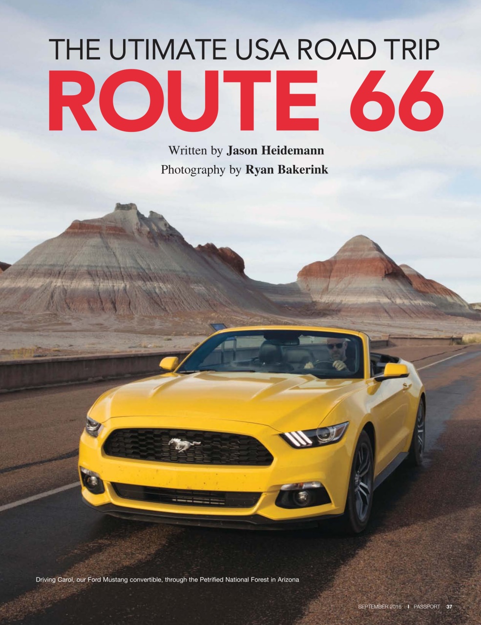 Passport Preview Pages