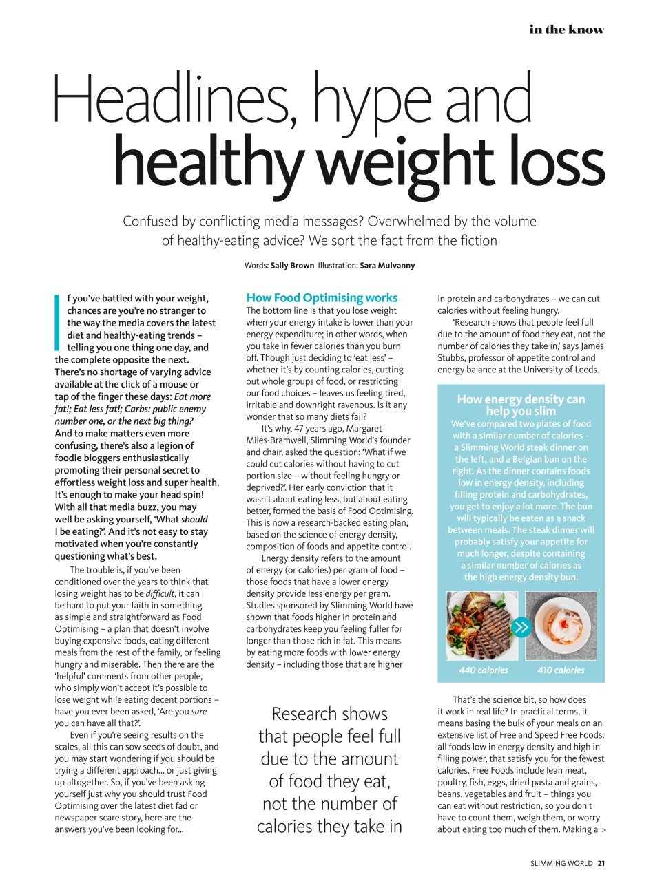 Slimming World Preview Pages