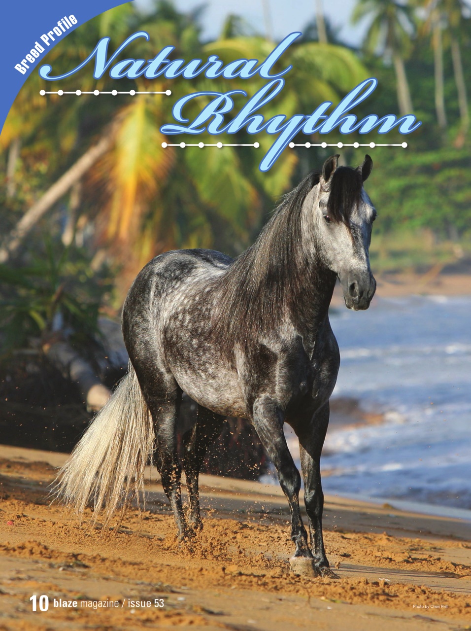 Blaze Magazine For Horse Crazy Kids Preview Pages