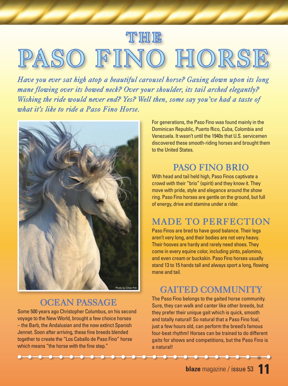 Blaze Magazine For Horse Crazy Kids Preview Pages