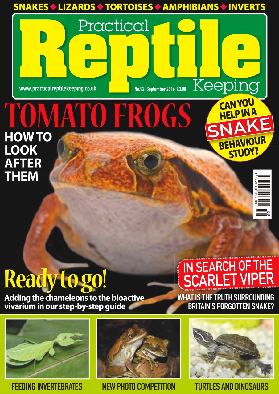 Practical Reptile Keeping Preview Pages