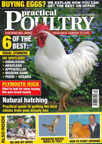 Practical Poultry issue No. 154 Natural Hatching 