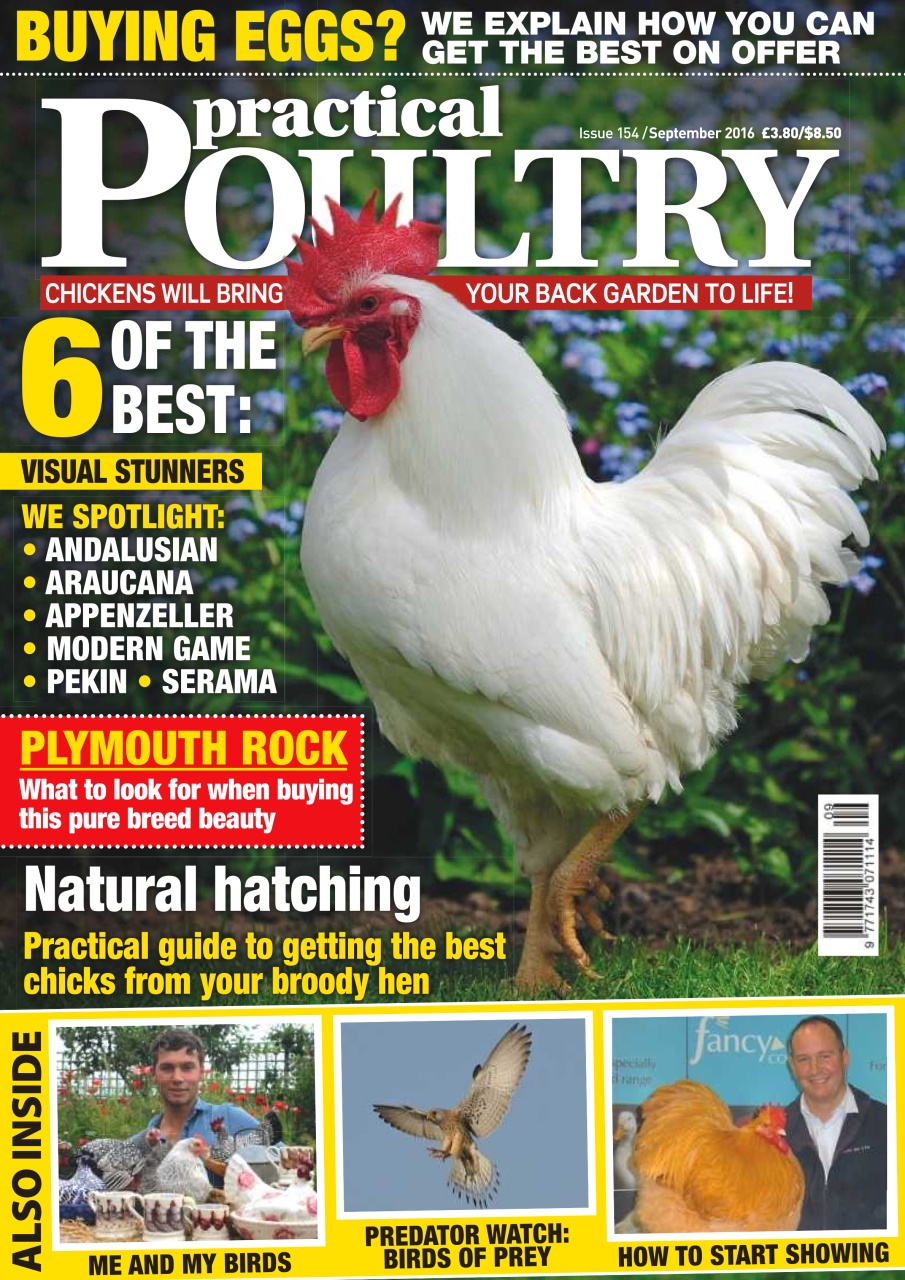 Practical Poultry Preview Pages