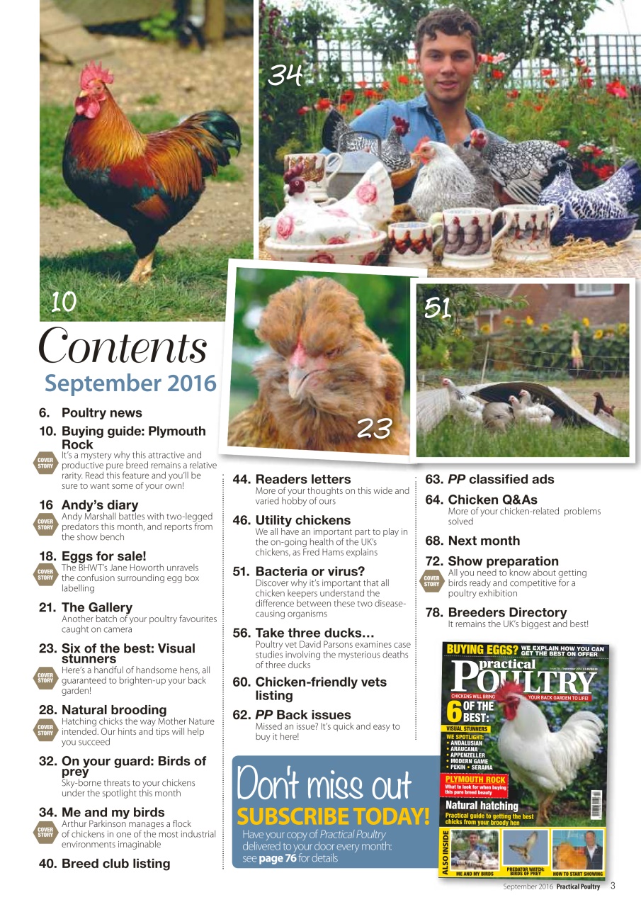 Practical Poultry Preview Pages