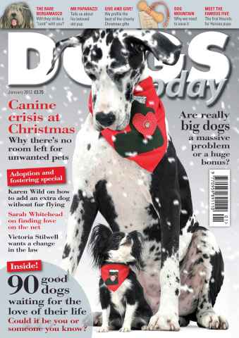 Dogs Today Magazine issue January 2012