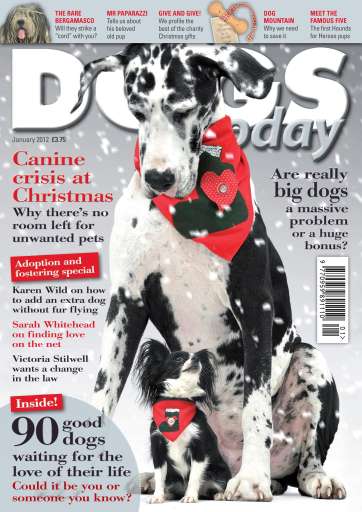 Dogs Today Magazine issue 