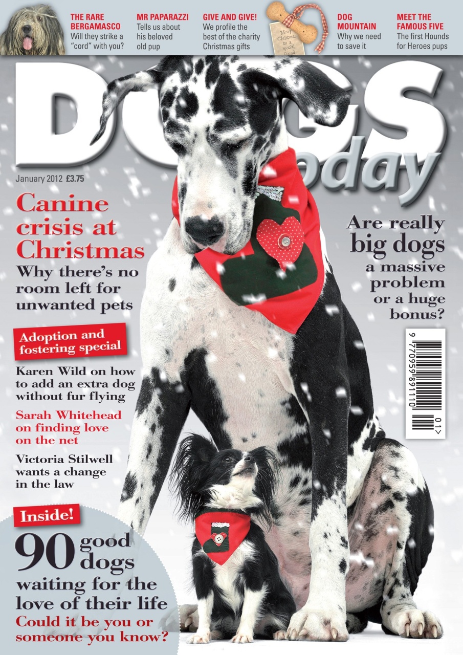 Dogs Today Magazine Preview Pages