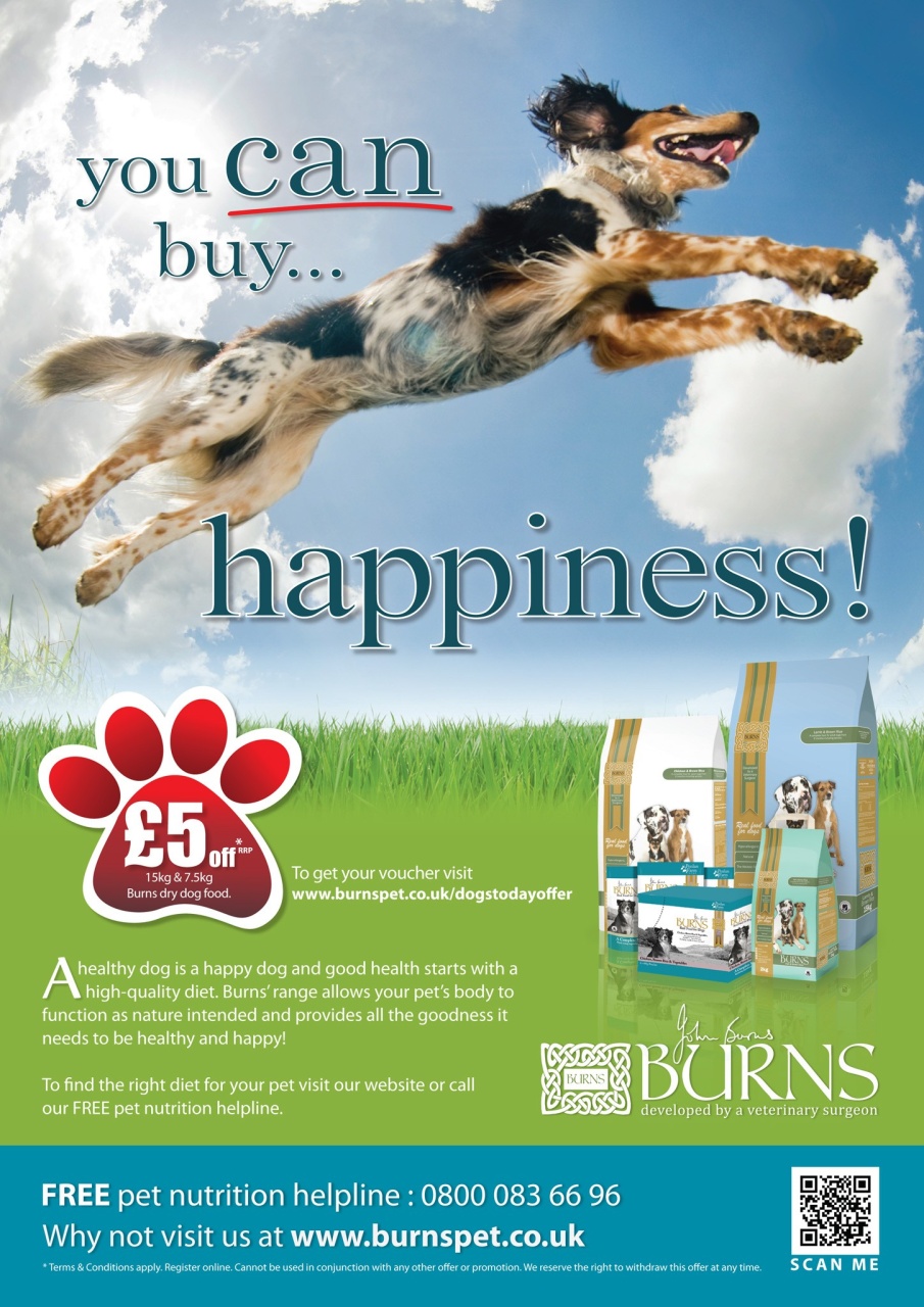 Dogs Today Magazine Preview Pages