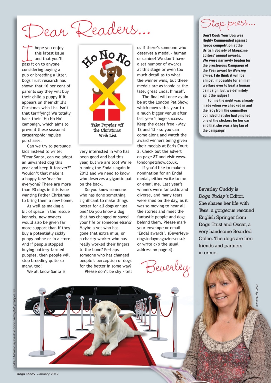 Dogs Today Magazine Preview Pages