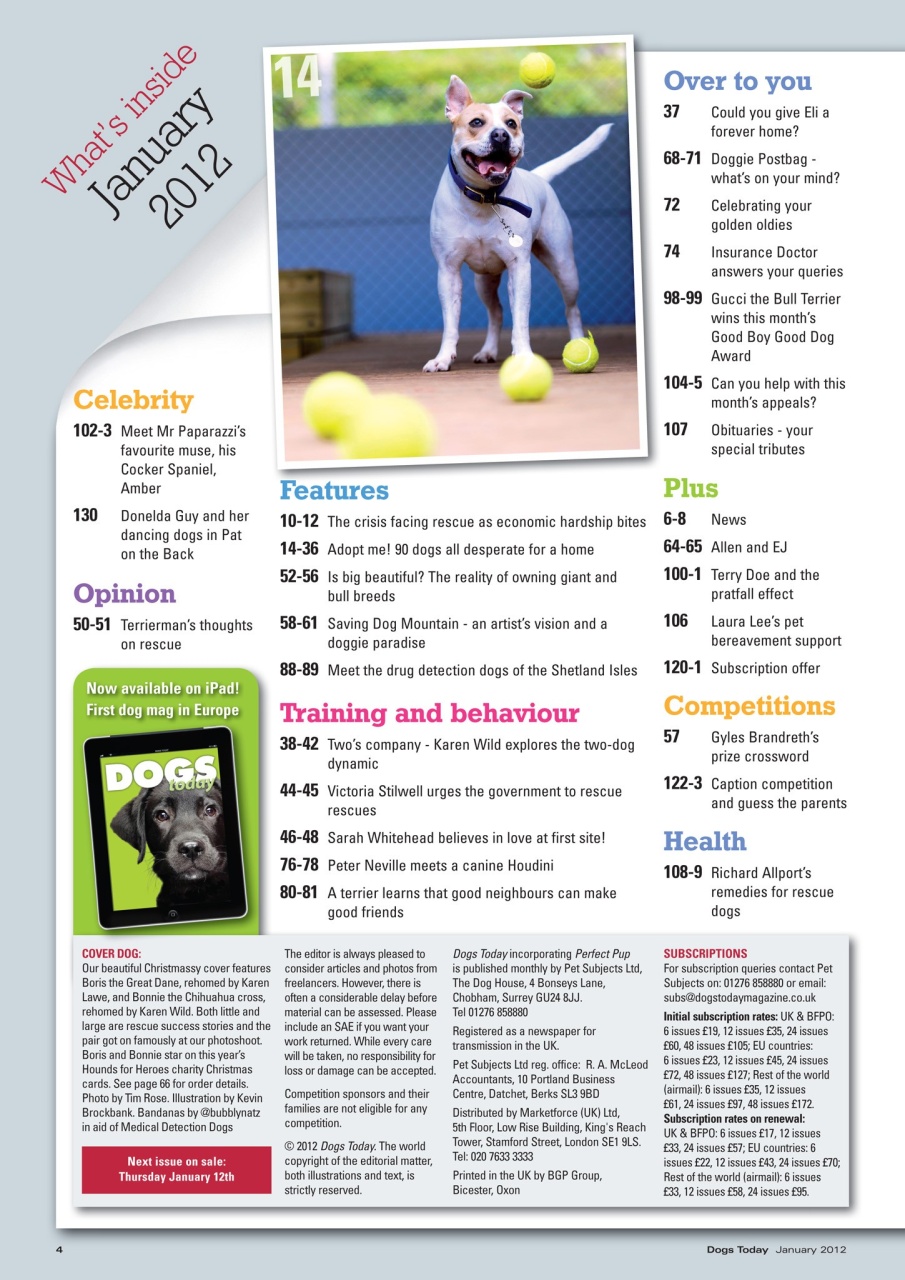 Dogs Today Magazine Preview Pages