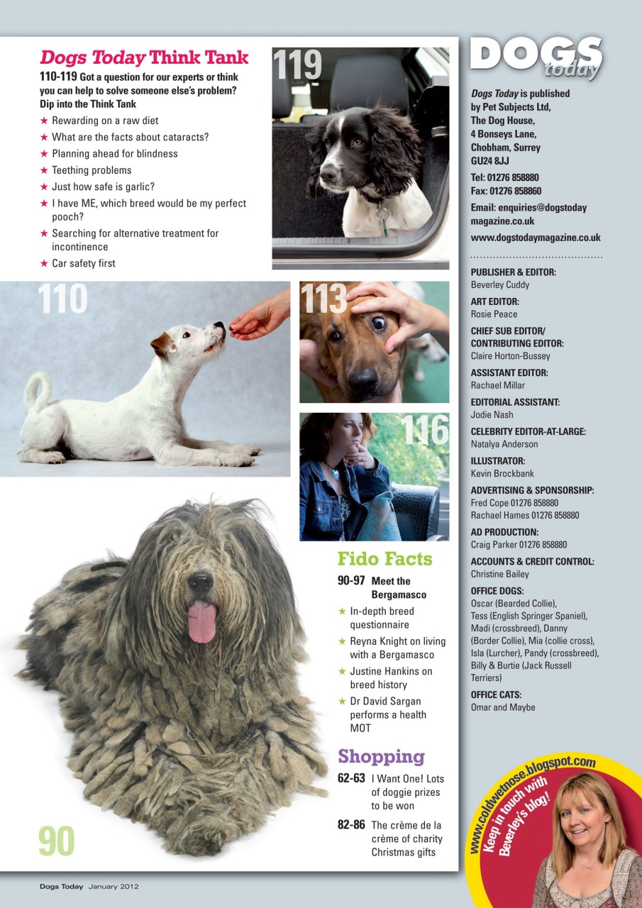 Dogs Today Magazine Preview Pages