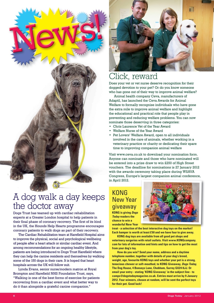 Dogs Today Magazine Preview Pages