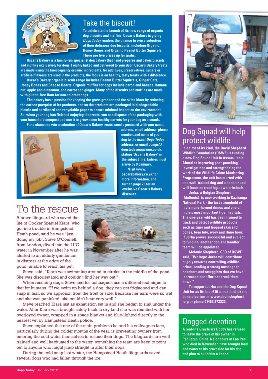Dogs Today Magazine Preview Pages