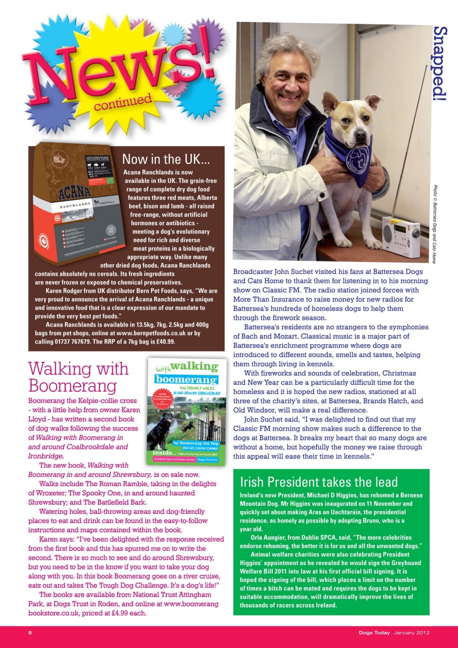 Dogs Today Magazine Preview Pages