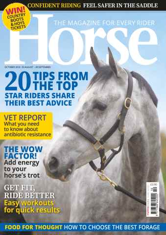 Horse issue October 2016