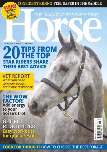 Horse issue 