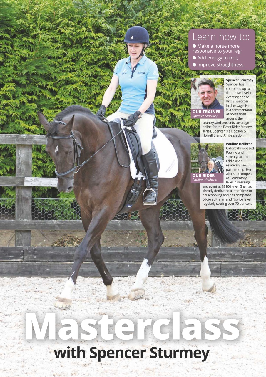 Horse Preview Pages