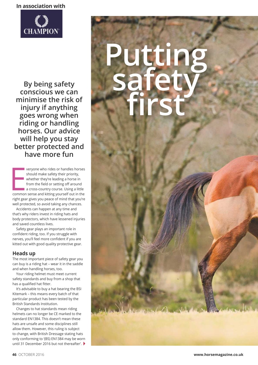 Horse Preview Pages