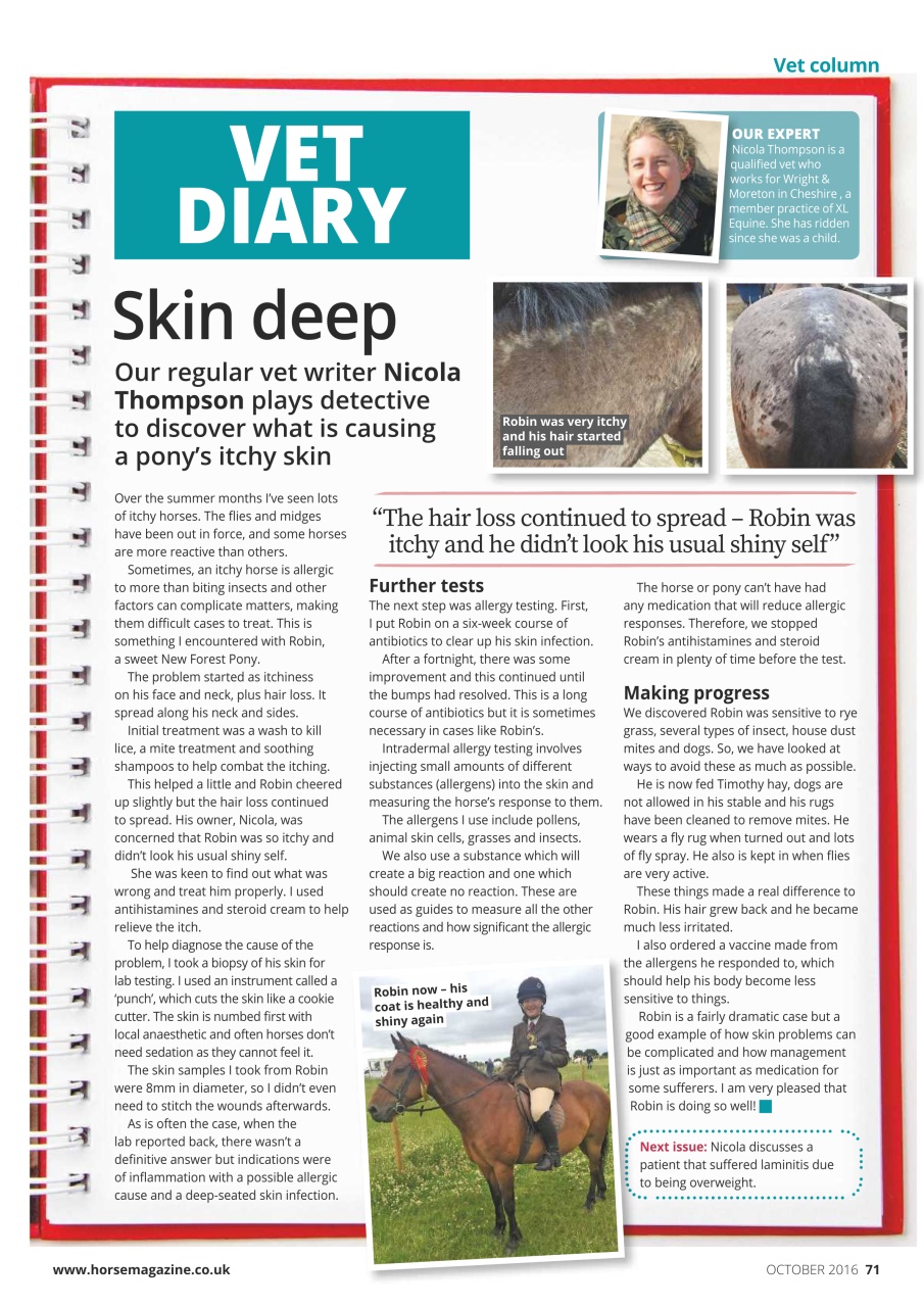 Horse Preview Pages