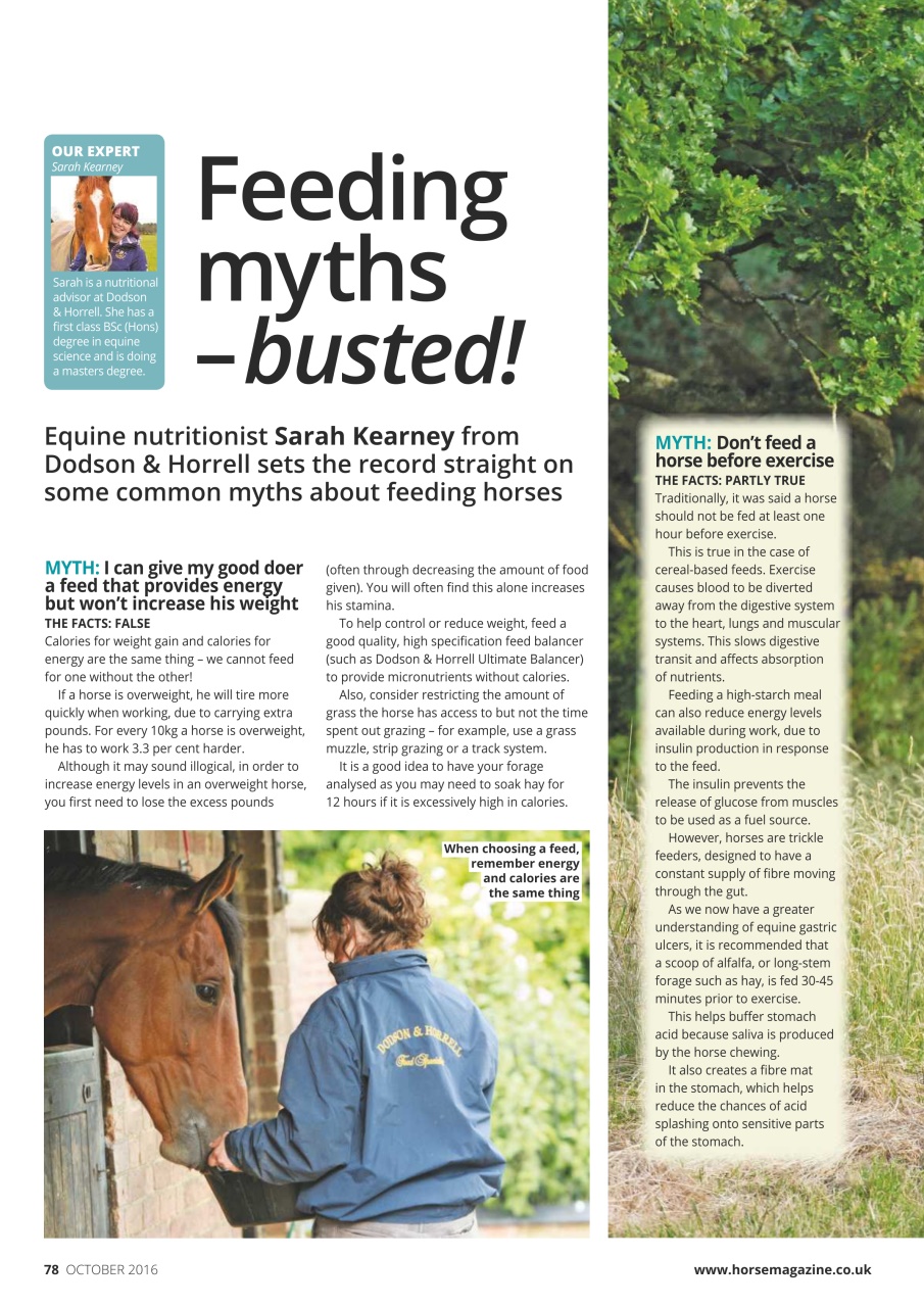 Horse Preview Pages