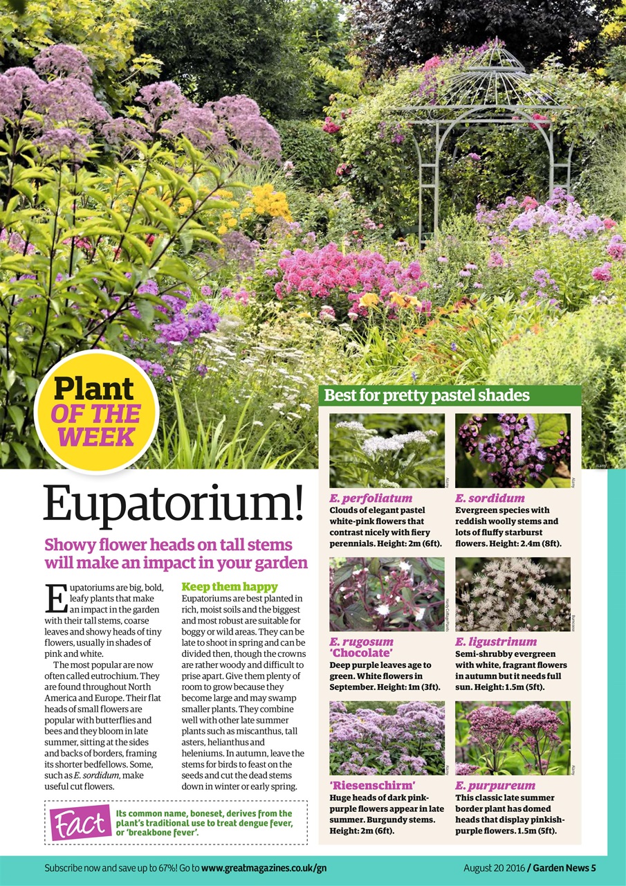 Garden News Preview Pages