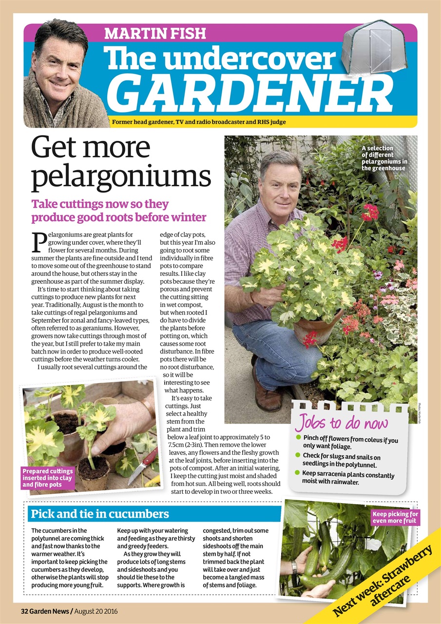 Garden News Preview Pages