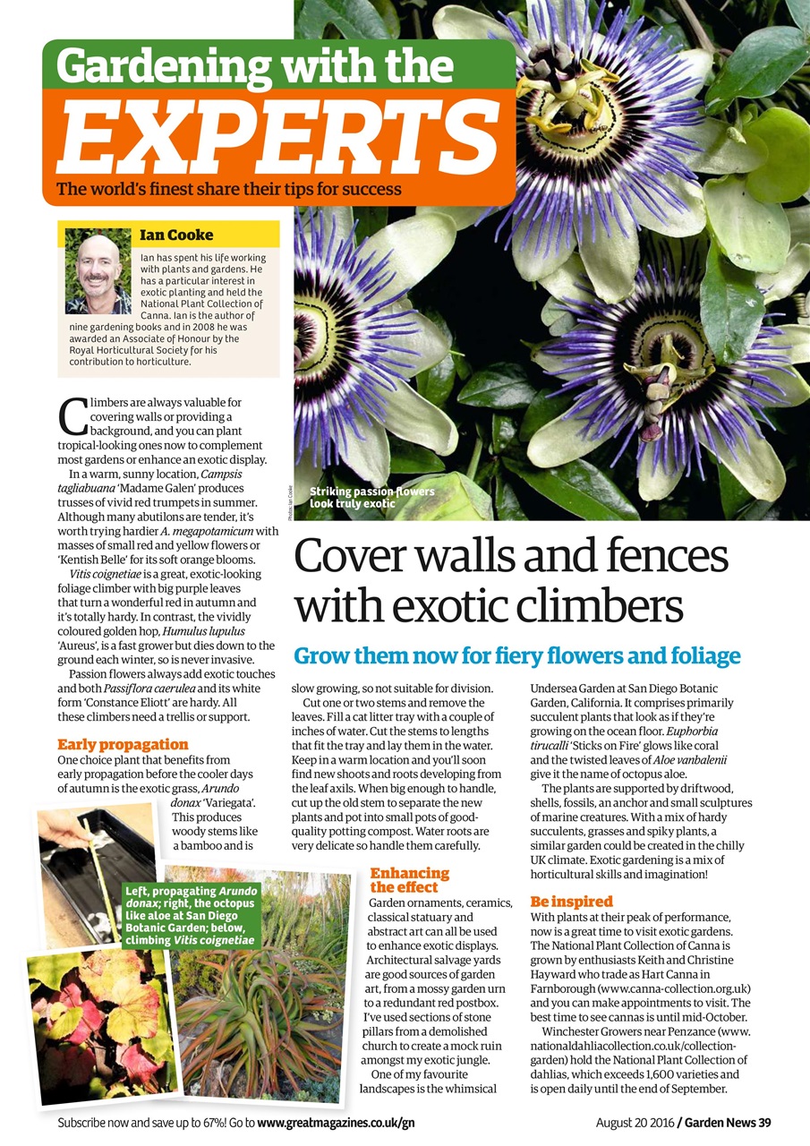 Garden News Preview Pages