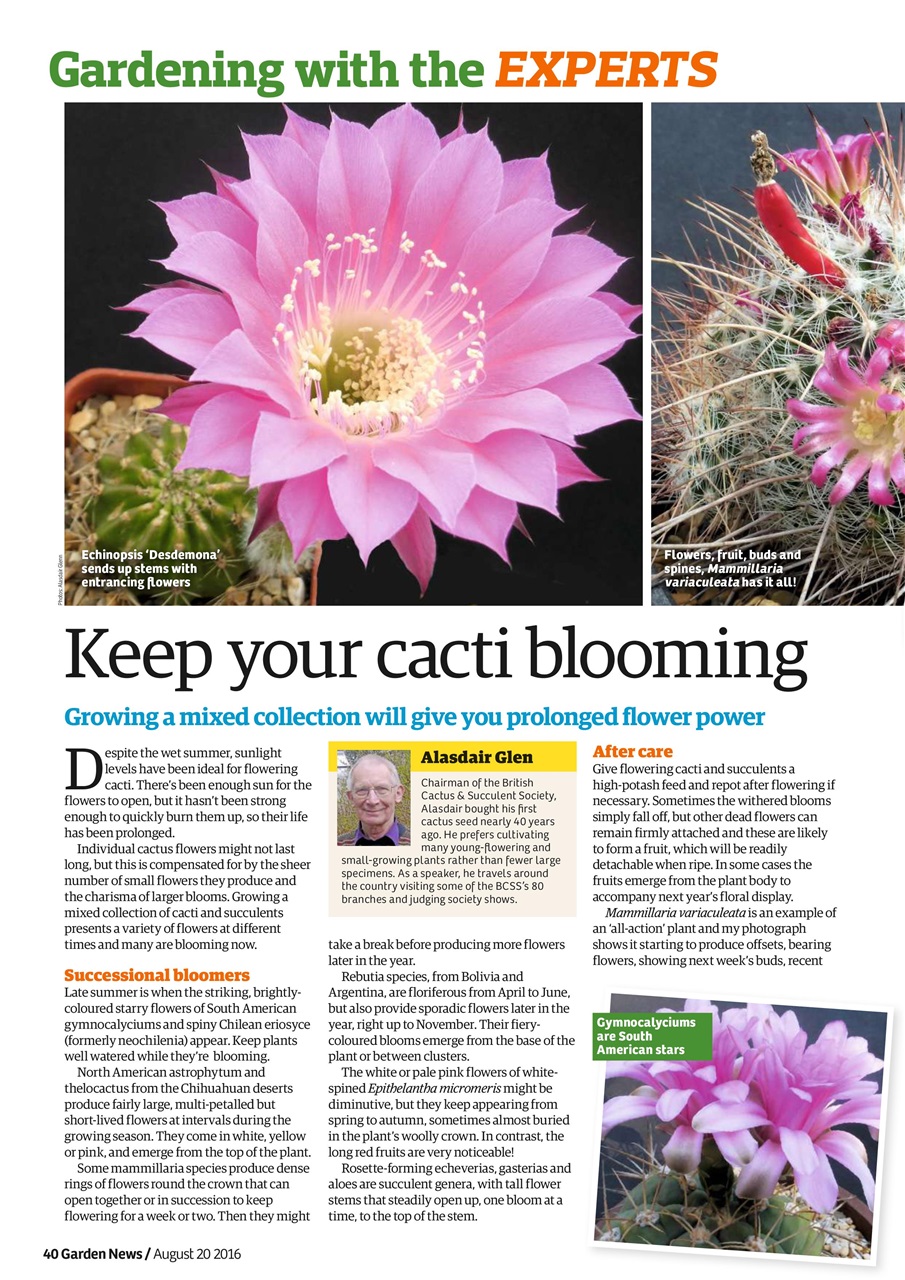 Garden News Preview Pages