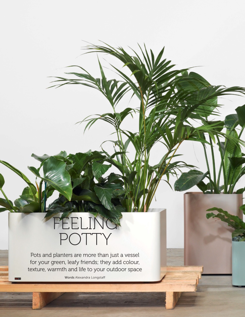 Outdoor Living Preview Pages