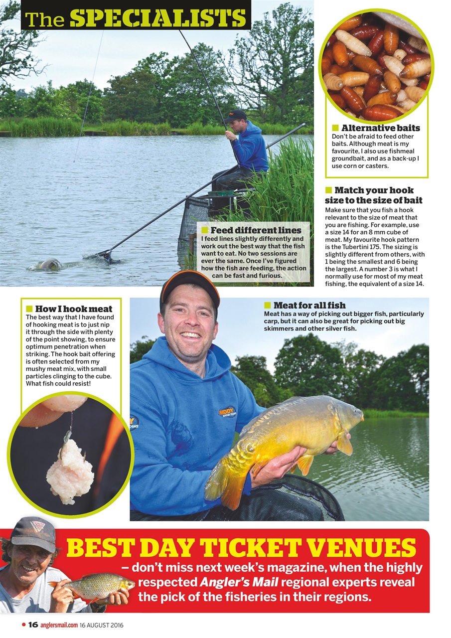 Anglers Mail Preview Pages