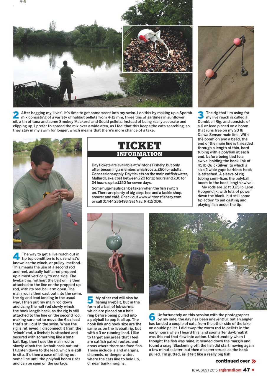 Anglers Mail Preview Pages