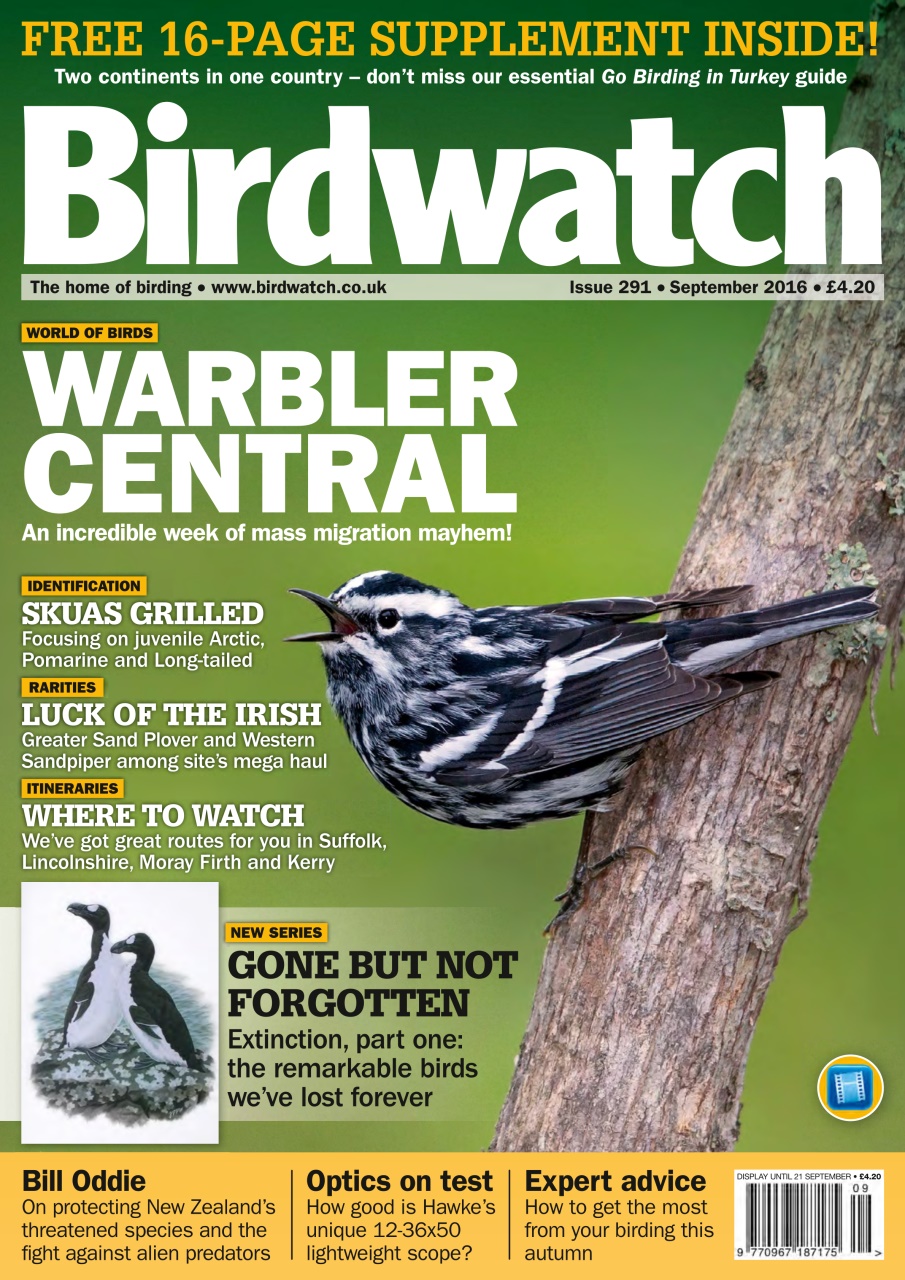 Birdwatch Magazine Preview Pages