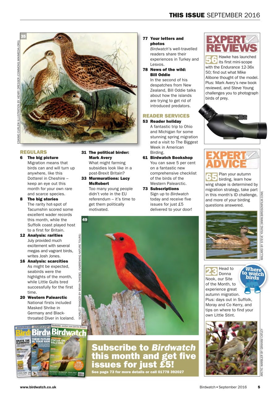 Birdwatch Magazine Preview Pages
