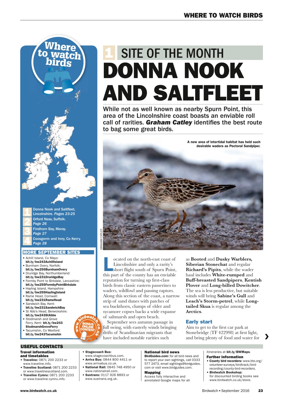 Birdwatch Magazine Preview Pages