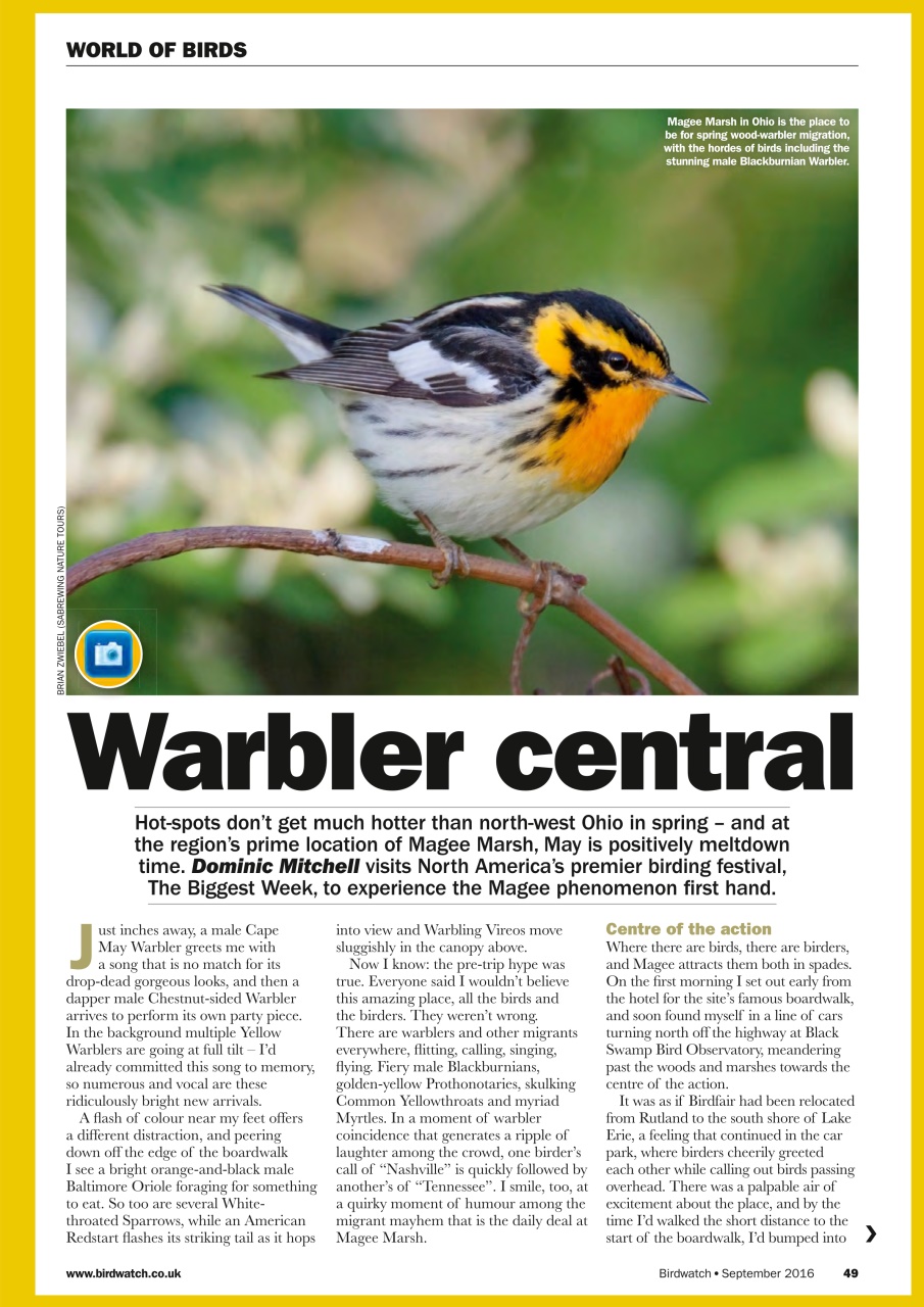 Birdwatch Magazine Preview Pages