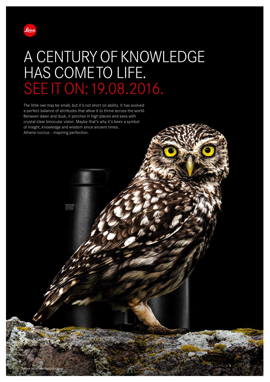 Birdwatch Magazine Preview Pages