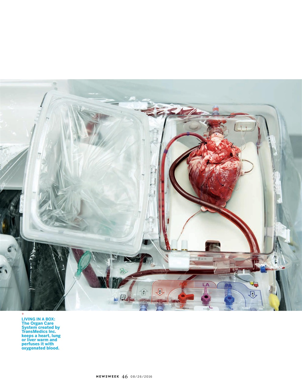 Newsweek International Preview Pages