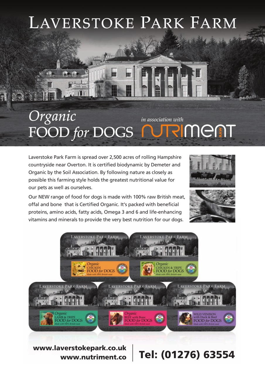 The Lady Preview Pages