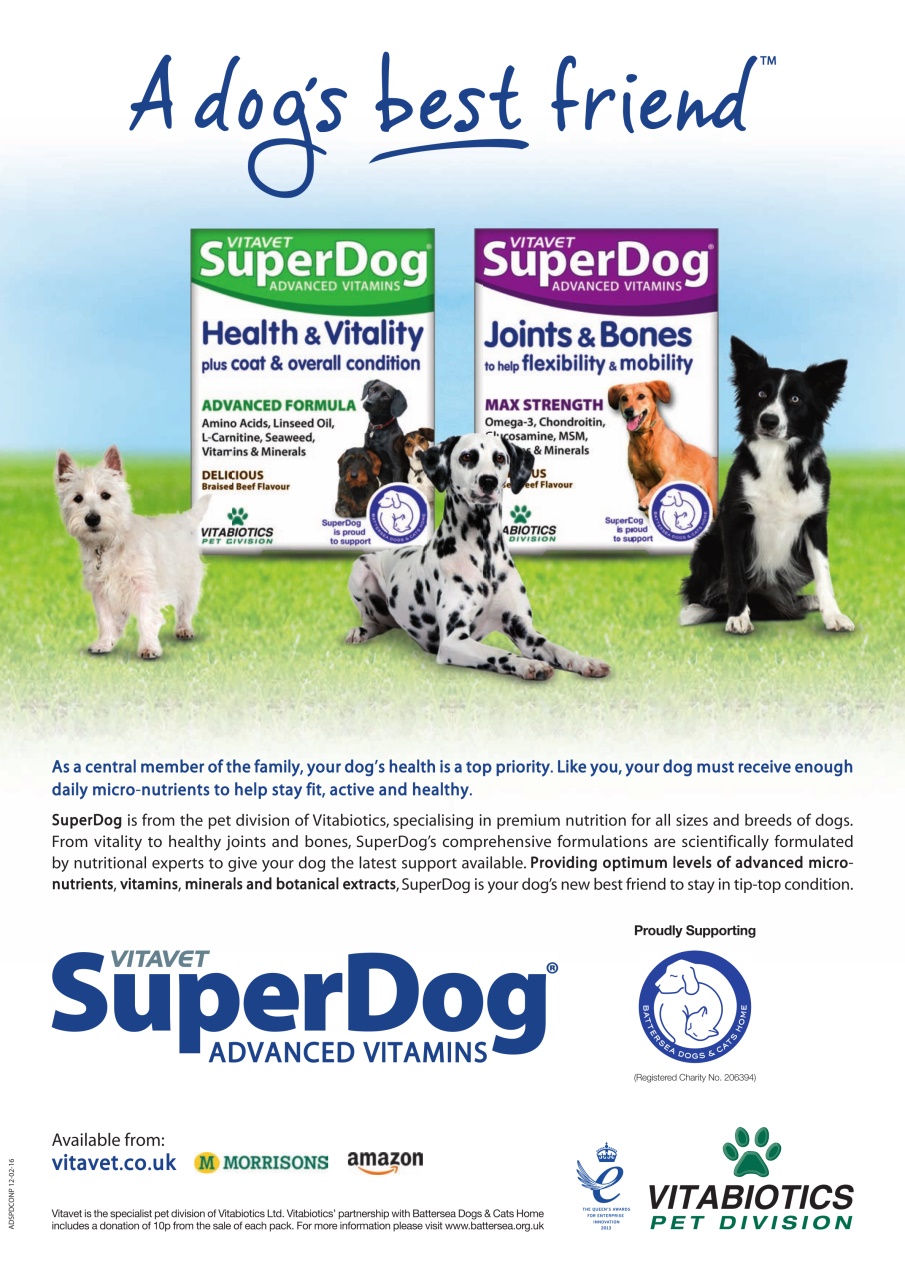 The Lady Preview Pages