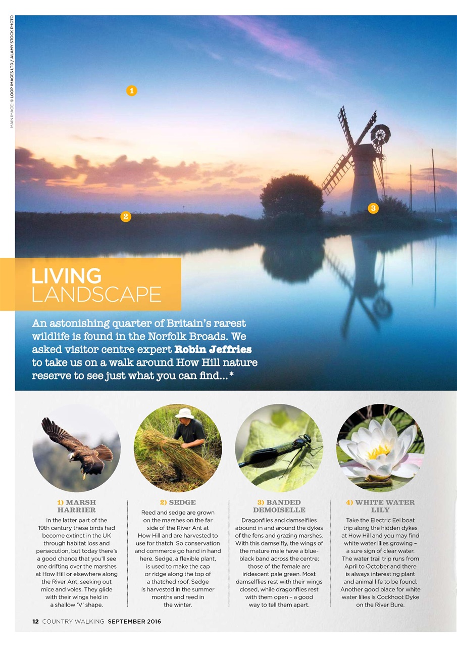 Country Walking Preview Pages