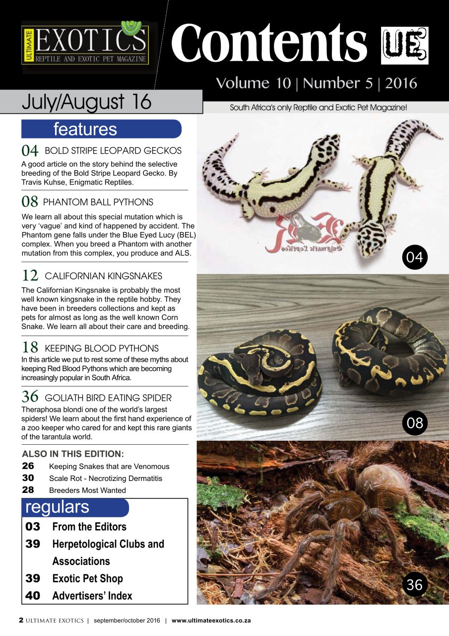 Ultimate Exotics Preview Pages