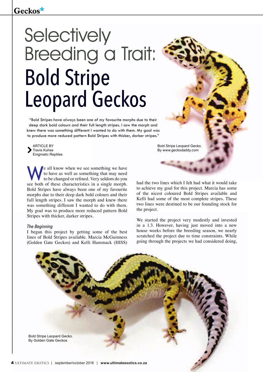 Ultimate Exotics Preview Pages