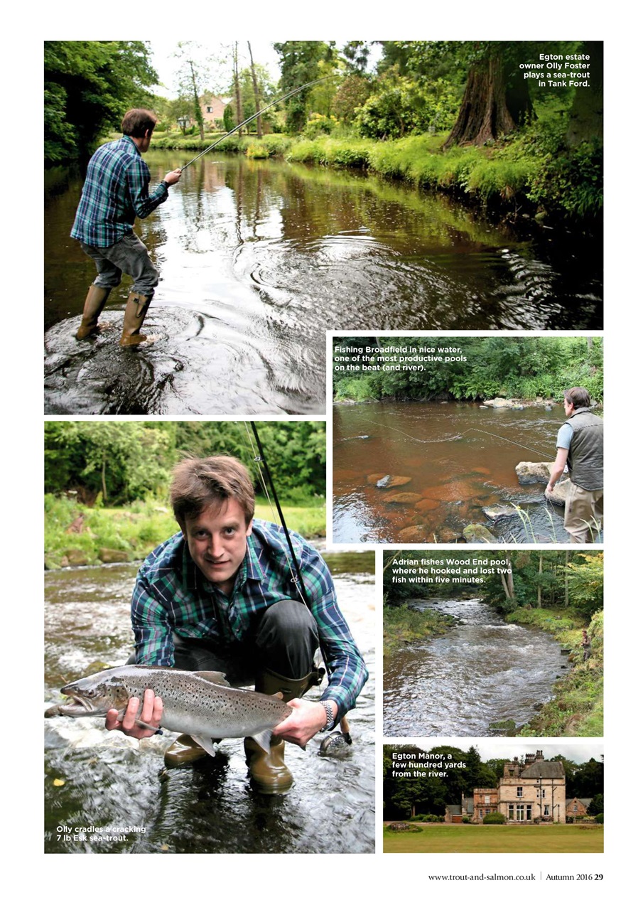 Trout & Salmon Preview Pages